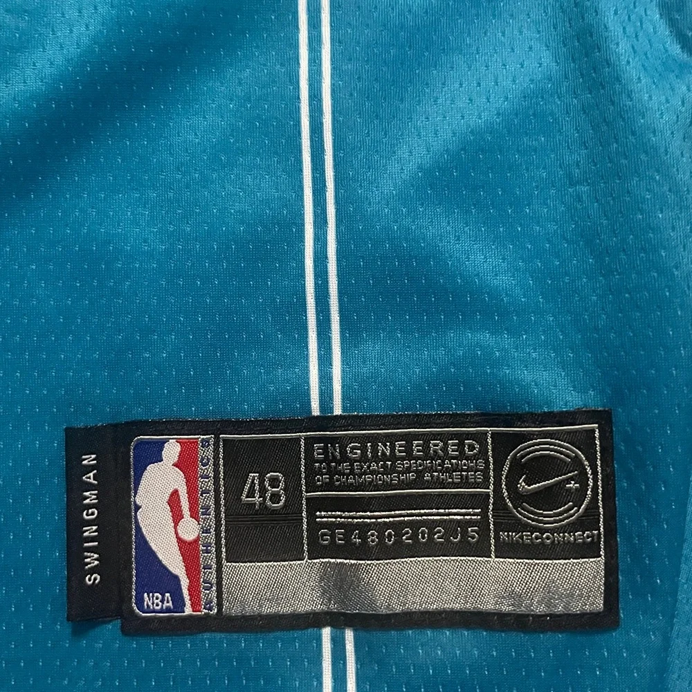 Jordan nike swingman